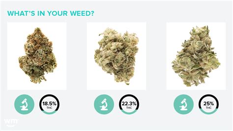 channel strain weed map.